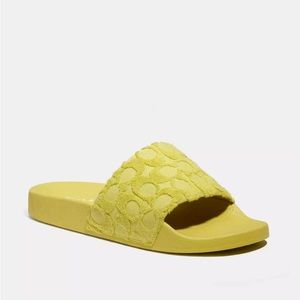 NWB Coach Slide In Signature Terry Cloth